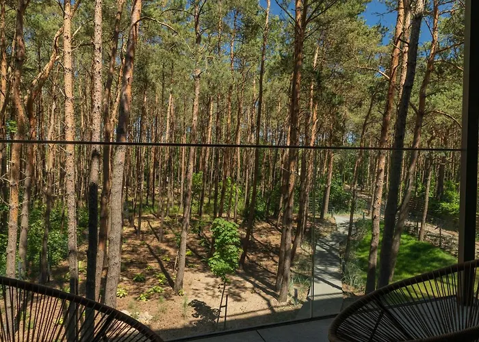 In - * Władysławowo